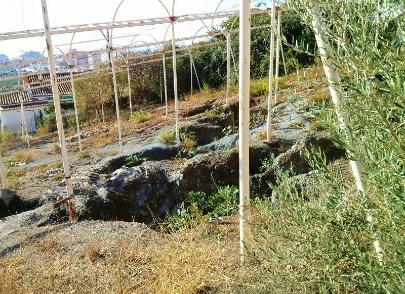 The Phoenician Necropolis of Puente de Noy