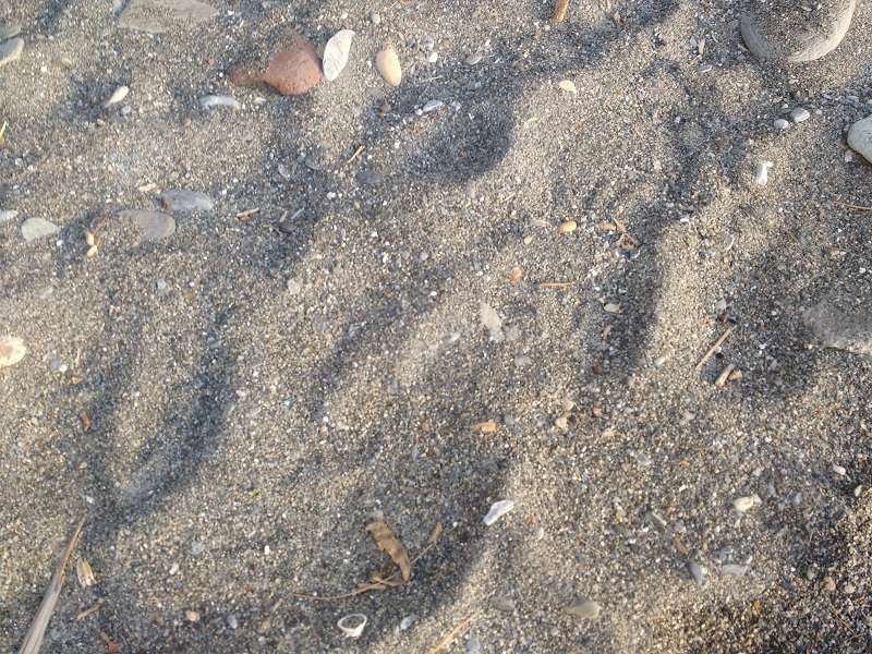 semi coarse sand almunecar